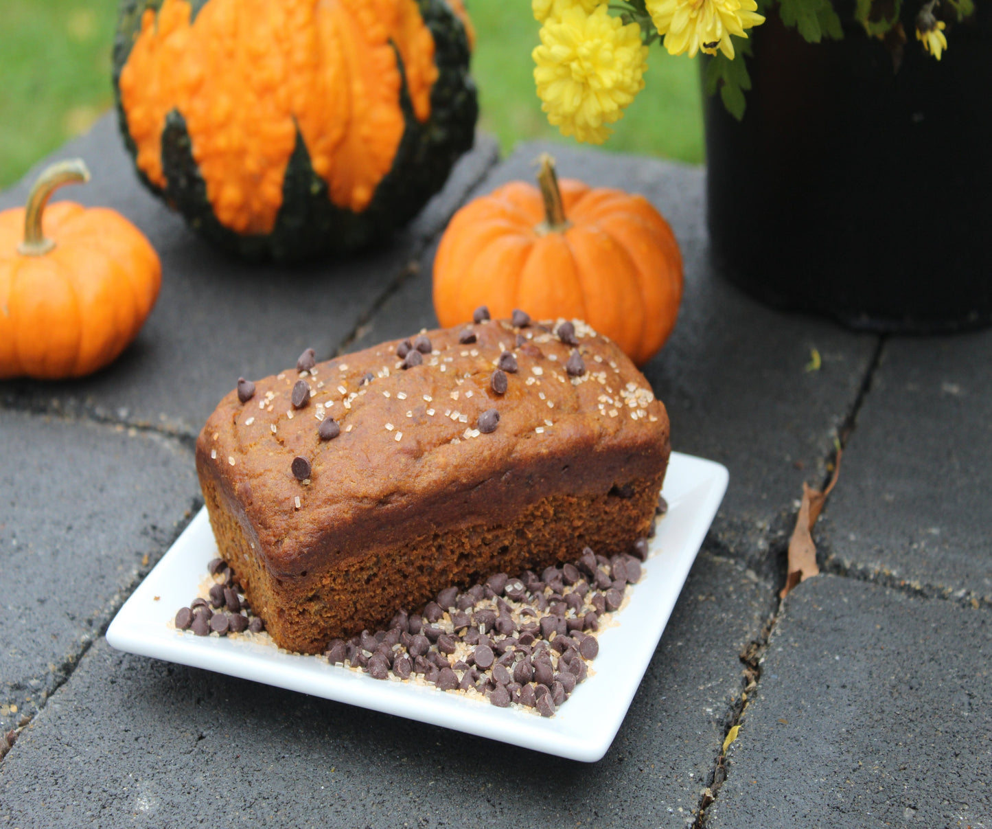 Pumpkin Chocolate Chip