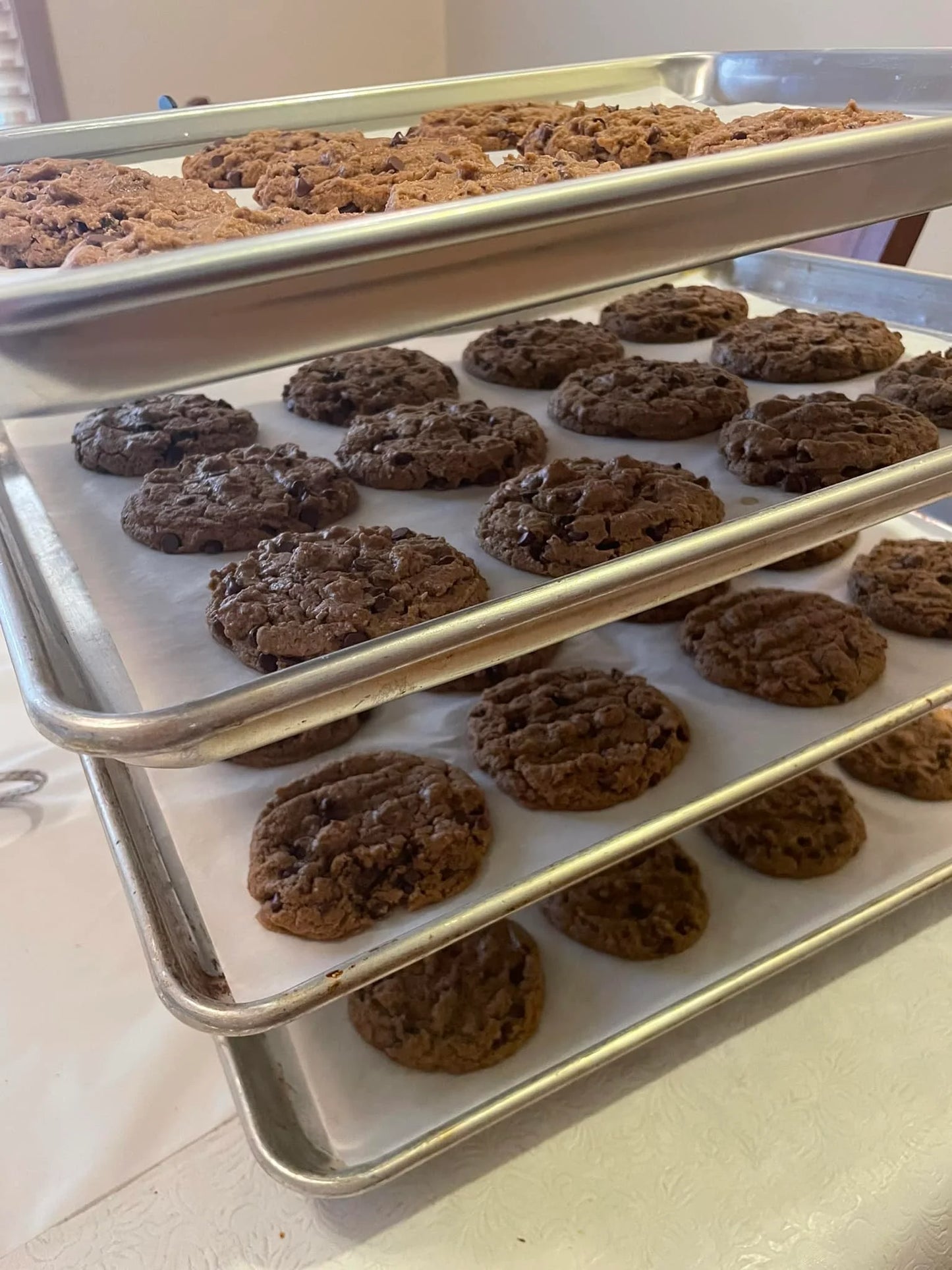 Sunbutter Chocolate Chip Cookies
