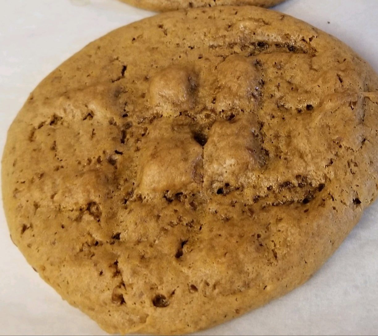 Sunbutter Chocolate Chip Cookies